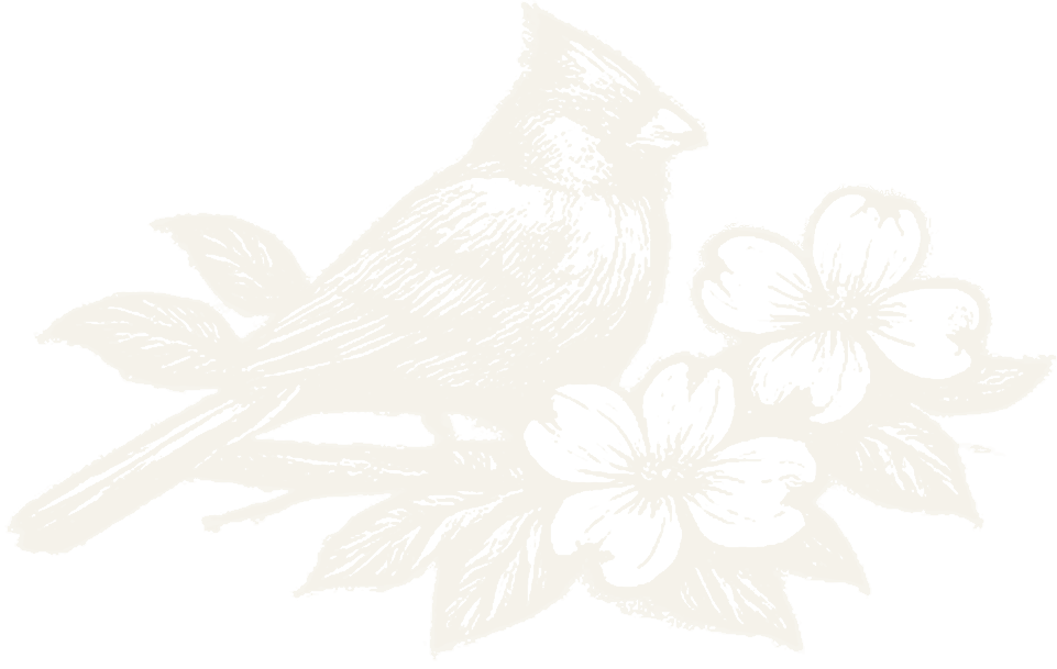Carolina cardinal in ivory