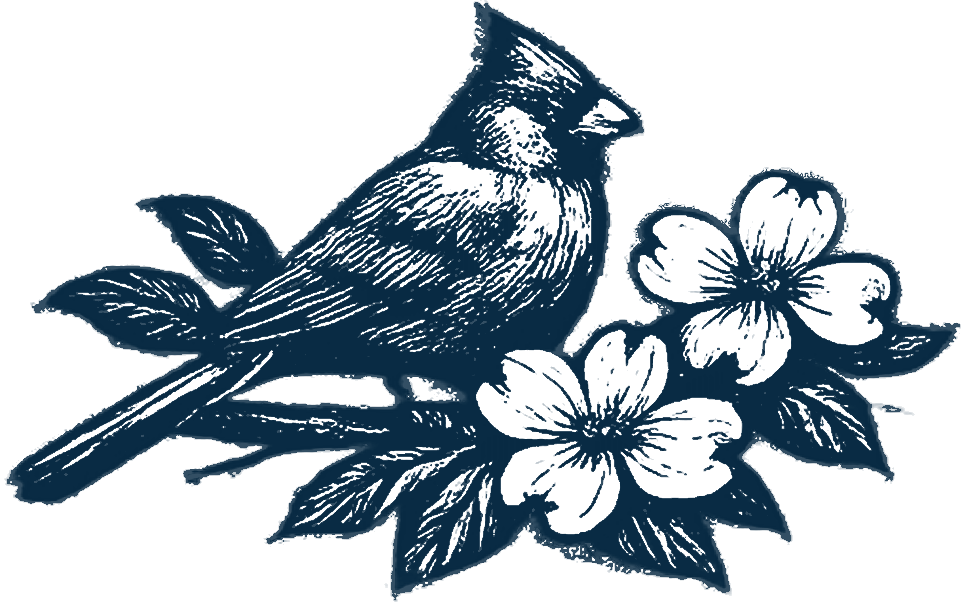 Carolina cardinal in navy